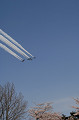 DSC_1136_thumb.jpg