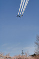 DSC_1208_thumb.jpg